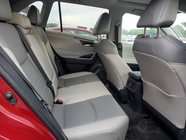 2019 Toyota Rav4 XLE Premium