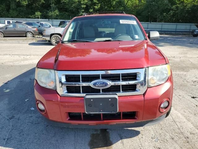 2011 Ford Escape XLT