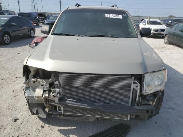 2010 Ford Escape XLT