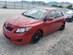 Toyota salvage cars for sale: 2009 Toyota Corolla Base