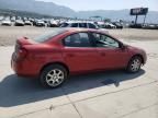 2005 Dodge Neon SXT