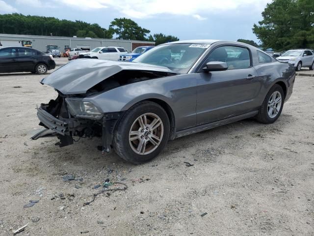 2013 Ford Mustang