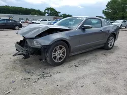 Salvage cars for sale at Hampton, VA auction: 2013 Ford Mustang