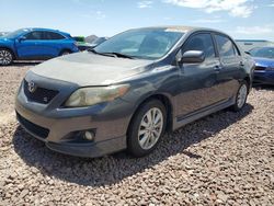 Salvage cars for sale at Phoenix, AZ auction: 2010 Toyota Corolla Base