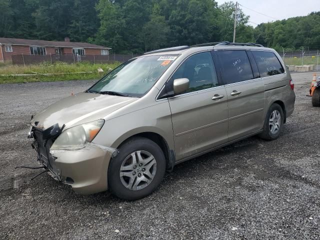 2006 Honda Odyssey EXL