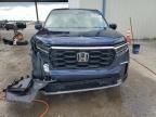 2023 Honda Pilot EXL