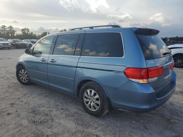 2008 Honda Odyssey EXL