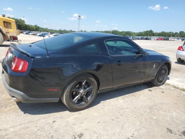 2010 Ford Mustang