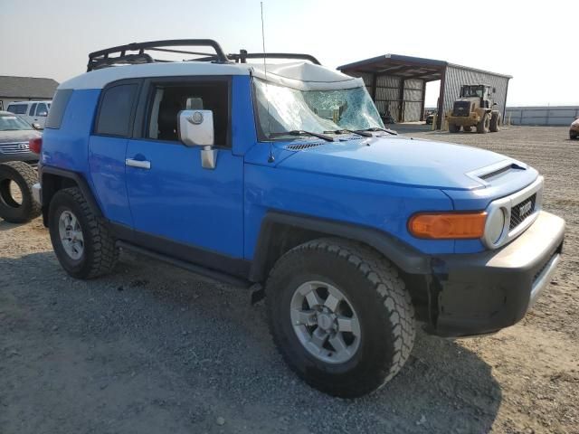 2007 Toyota FJ Cruiser