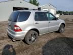 2002 Mercedes-Benz ML 500