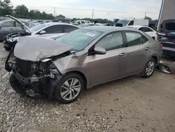 Salvage cars for sale at Lawrenceburg, KY auction: 2016 Toyota Corolla ECO