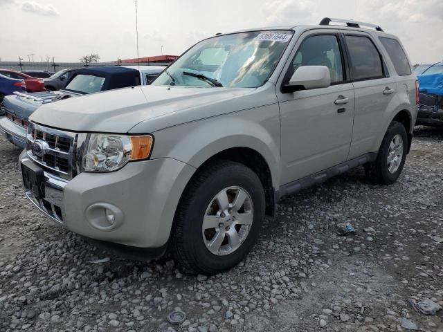 2009 Ford Escape Limited