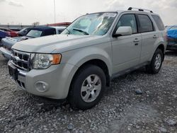 Salvage cars for sale at Cahokia Heights, IL auction: 2009 Ford Escape Limited