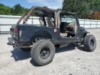 2005 Jeep Wrangler / TJ Unlimited