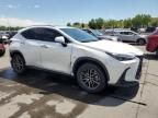 2024 Lexus NX 350H Base