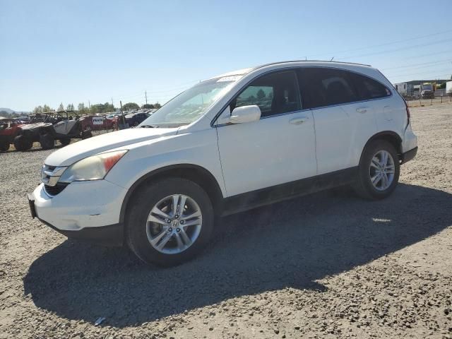 2010 Honda CR-V EXL