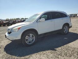 Honda salvage cars for sale: 2010 Honda CR-V EXL