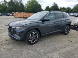 Carros con título limpio a la venta en subasta: 2023 Hyundai Tucson SEL