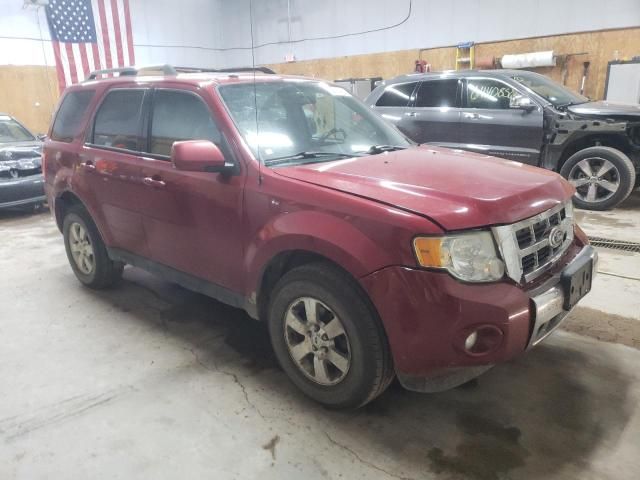 2010 Ford Escape Limited