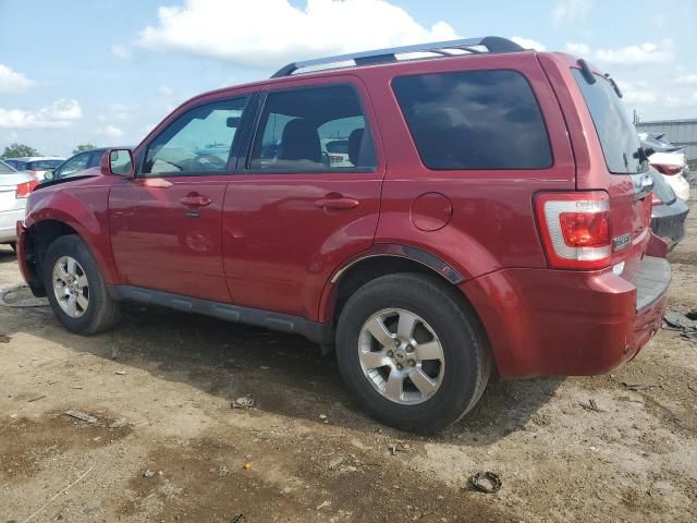 2010 Ford Escape Limited