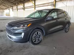 Salvage cars for sale at Phoenix, AZ auction: 2020 Ford Escape SEL