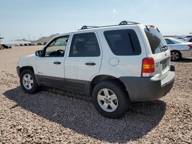 2006 Ford Escape HEV