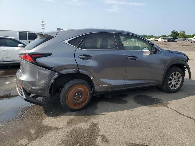 2020 Lexus NX 300H