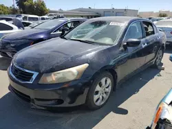 Honda salvage cars for sale: 2008 Honda Accord EXL