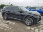 2024 Hyundai Tucson Blue