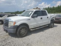 Salvage cars for sale at Memphis, TN auction: 2010 Ford F150 Supercrew