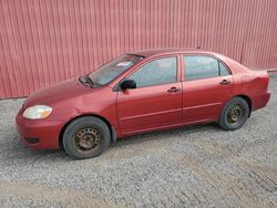 Salvage cars for sale at London, ON auction: 2008 Toyota Corolla CE