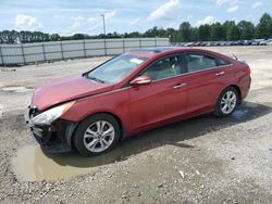 Salvage cars for sale at Lumberton, NC auction: 2013 Hyundai Sonata SE