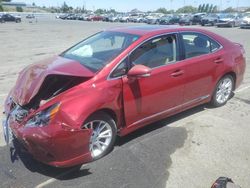 Salvage cars for sale at Vallejo, CA auction: 2010 Lexus HS 250H