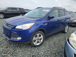 Salvage cars for sale at Ham Lake, MN auction: 2014 Ford Escape SE