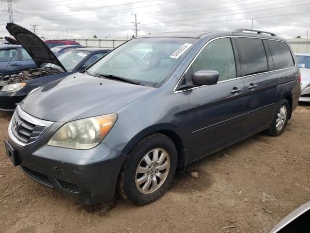 2010 Honda Odyssey EXL