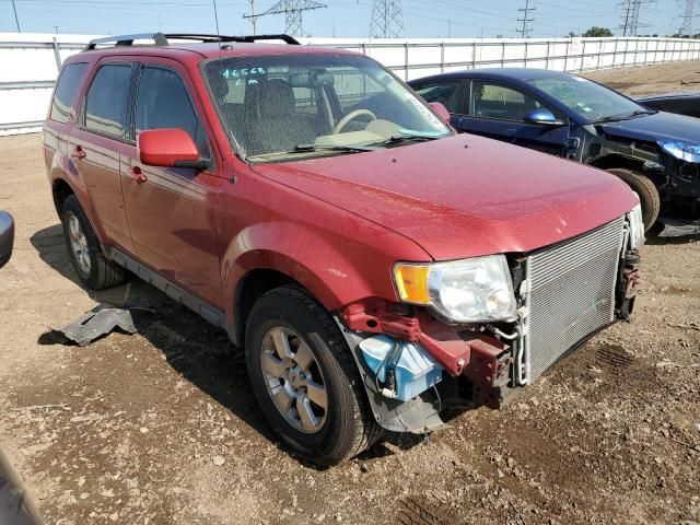 2011 Ford Escape Limited