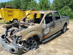 Salvage cars for sale at Gaston, SC auction: 2010 Ford F150 Supercrew