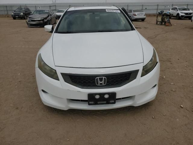 2009 Honda Accord EXL