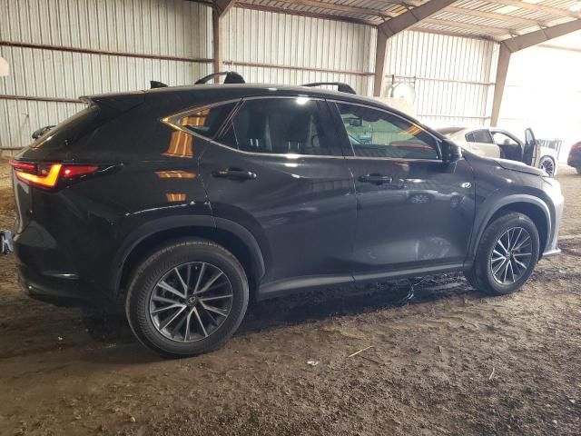 2023 Lexus NX 250