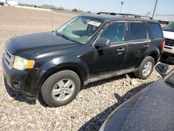 2009 Ford Escape XLT en venta en Phoenix, AZ