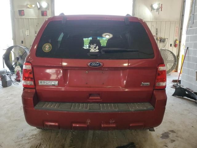 2012 Ford Escape XLT