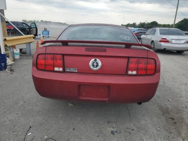 2005 Ford Mustang