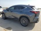 2024 Lexus NX 350H Base