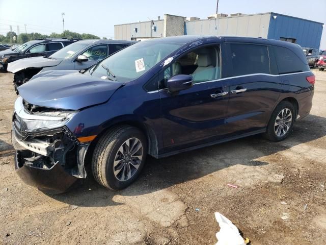 2023 Honda Odyssey EXL