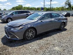 Salvage cars for sale at Hillsborough, NJ auction: 2024 Lexus ES 350 Base