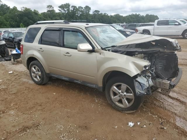 2011 Ford Escape Limited