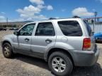 2005 Ford Escape XLT