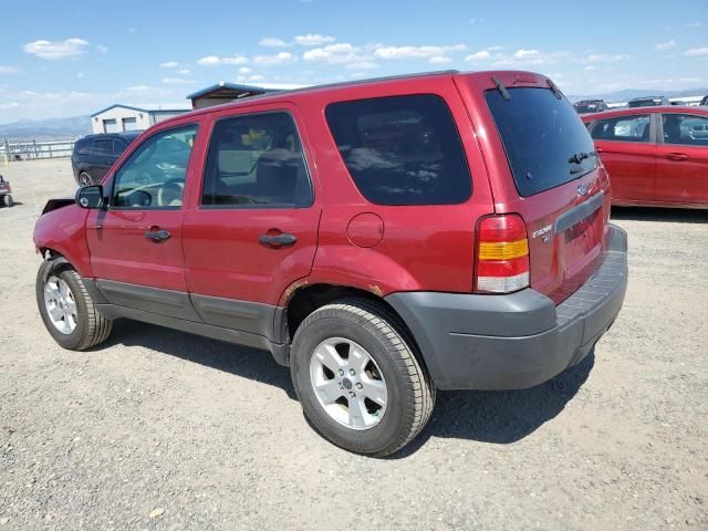 2005 Ford Escape XLT