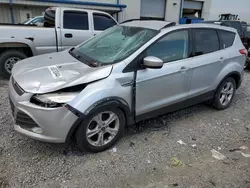 Flood-damaged cars for sale at auction: 2014 Ford Escape SE