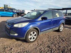 Salvage cars for sale at Phoenix, AZ auction: 2014 Ford Escape SE